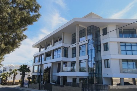 202.88m2 Commercial property in Paphos, Cyprus No. 62741