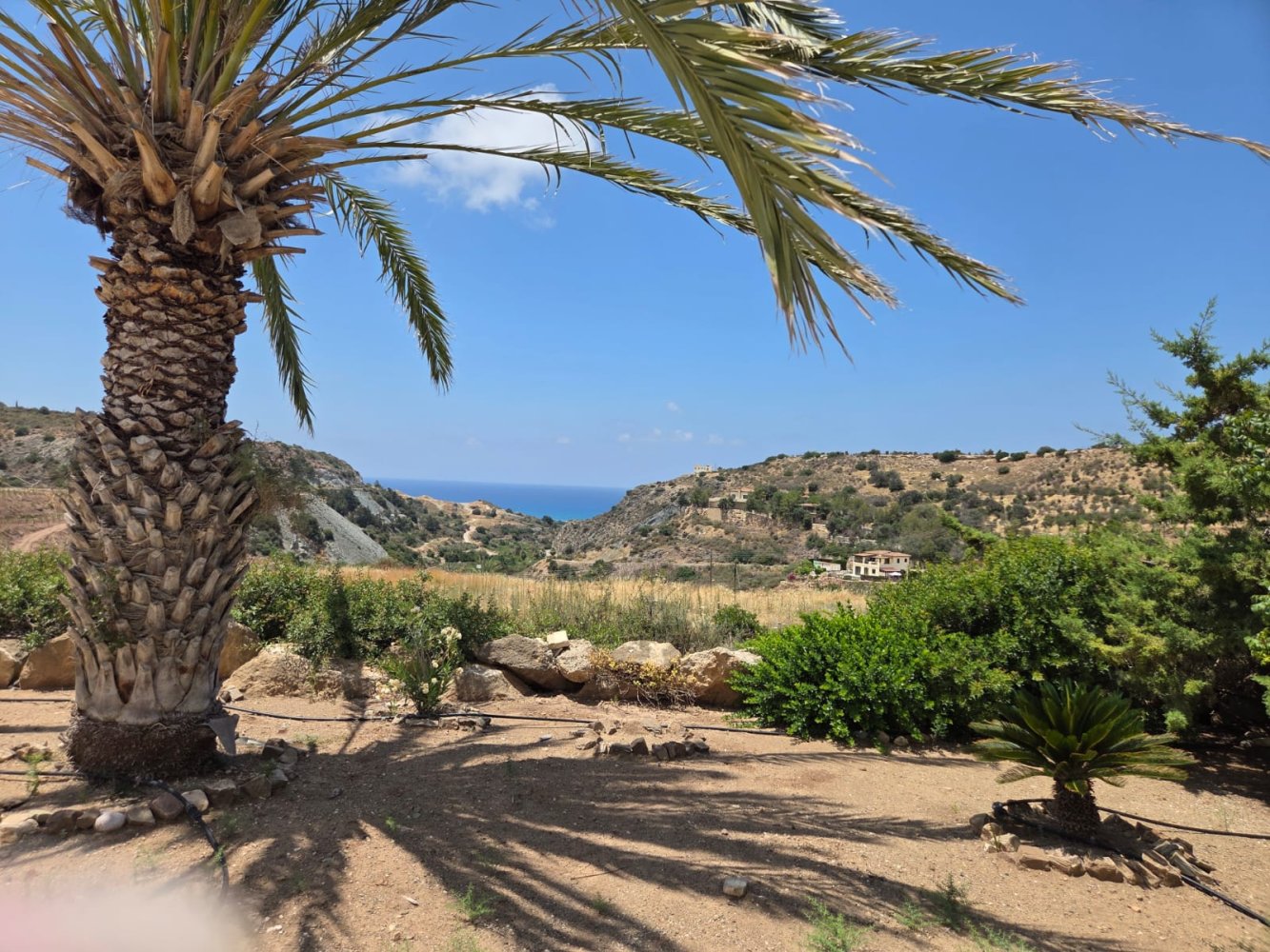 3 bedrooms Villa in Pegeia, Paphos, Cyprus No. 61426