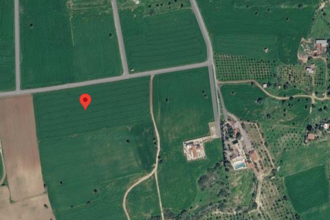 4525m2 Land in Mazotos, Larnaka, Cyprus No. 61624