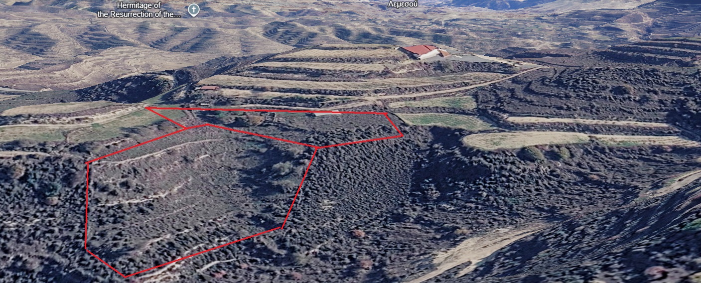 11540m2 Land in Pachna, Limassol, Cyprus No. 61893