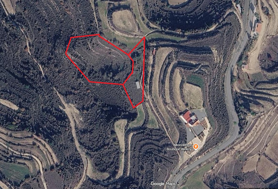 11540m2 Land in Pachna, Limassol, Cyprus No. 61893