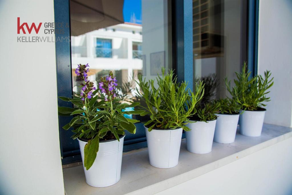 3600m2 Hotel in Kissonerga, Paphos, Cyprus No. 60706