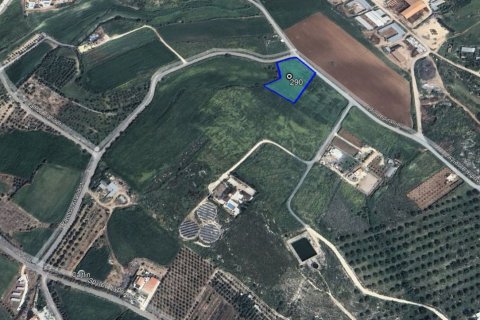 Земельный участок 4562м2 в Анарита, Пафос, Кипр № 59401