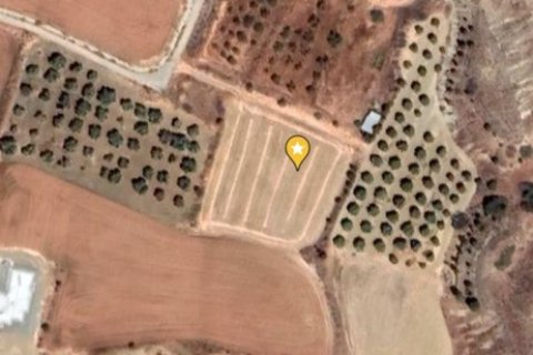 Земельный участок 3142м2 в Пера, Никосия, Кипр № 40344