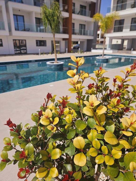 1 bedroom Apartment in Paphos, Cyprus No. 62004