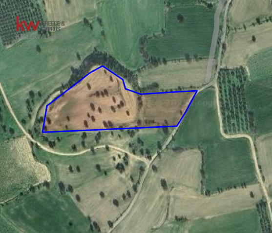 Земельный участок 14047м2 в Англисидес, Ларнака, Кипр № 40569
