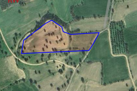 Земельный участок 14047м2 в Англисидес, Ларнака, Кипр № 40569