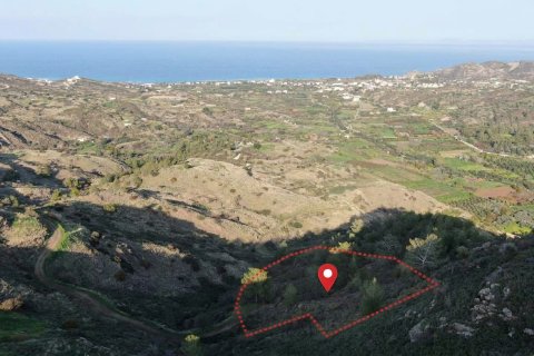 7038m2 Land in Pigenia, Nicosia, Cyprus No. 62599