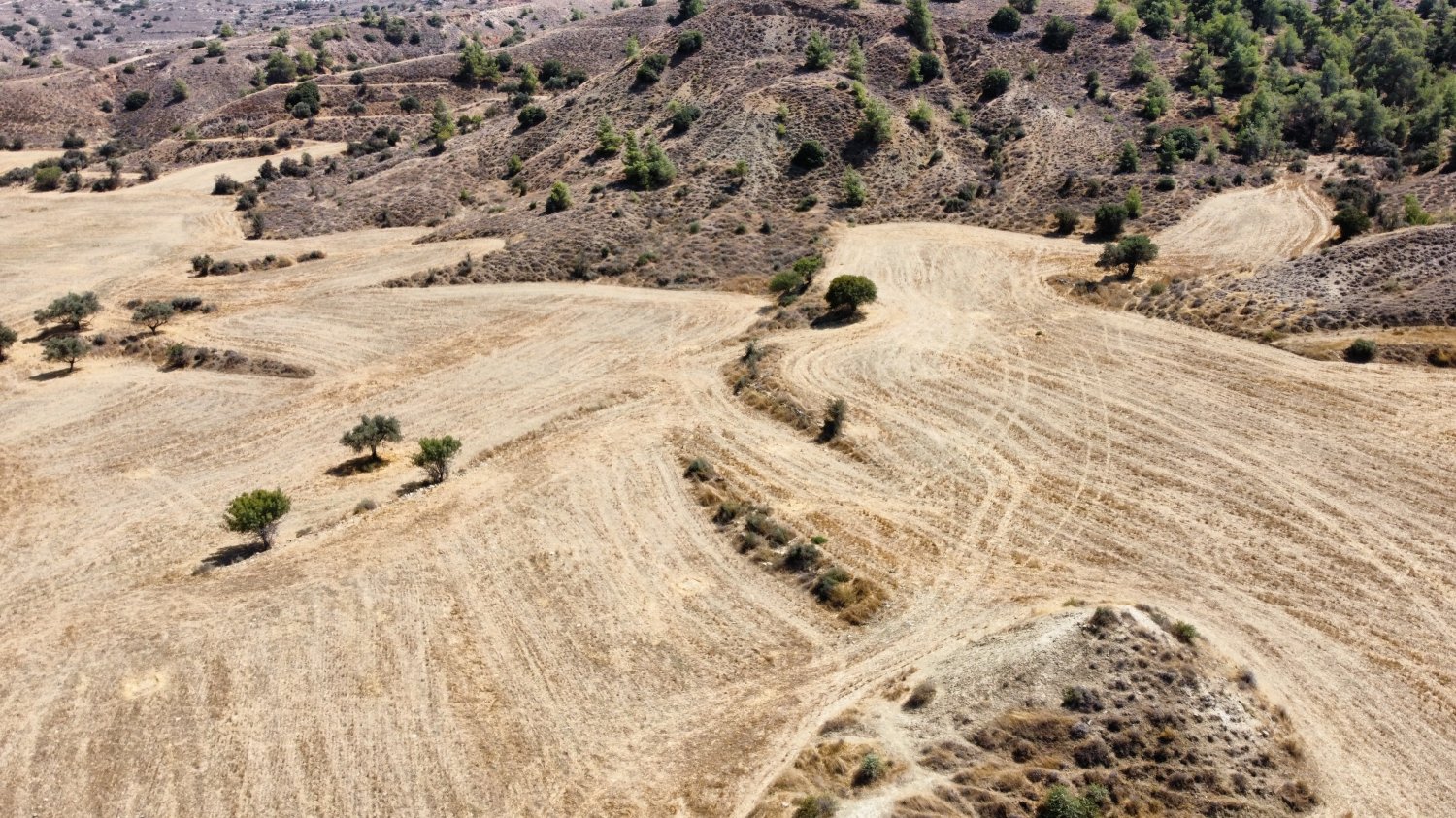 12710m2 Land in Agrokipia, Nicosia, Cyprus No. 61659