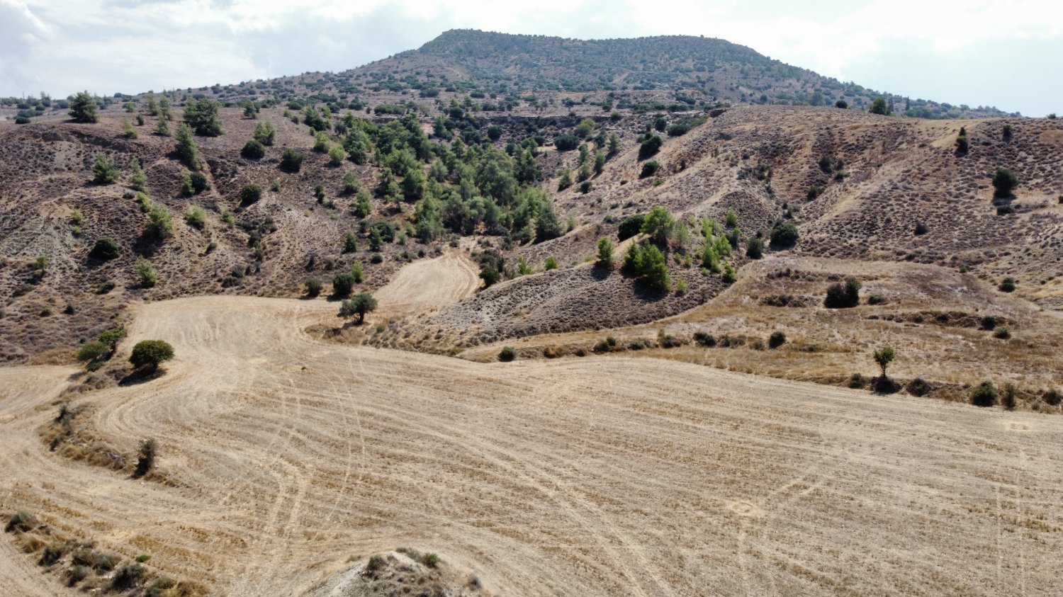 12710m2 Land in Agrokipia, Nicosia, Cyprus No. 61659