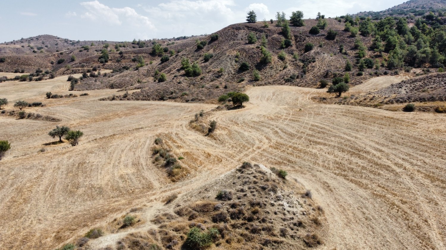 12710m2 Land in Agrokipia, Nicosia, Cyprus No. 61659