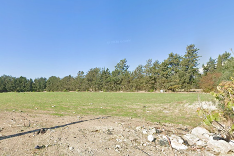 21513m2 Land in Paphos, Cyprus No. 60755