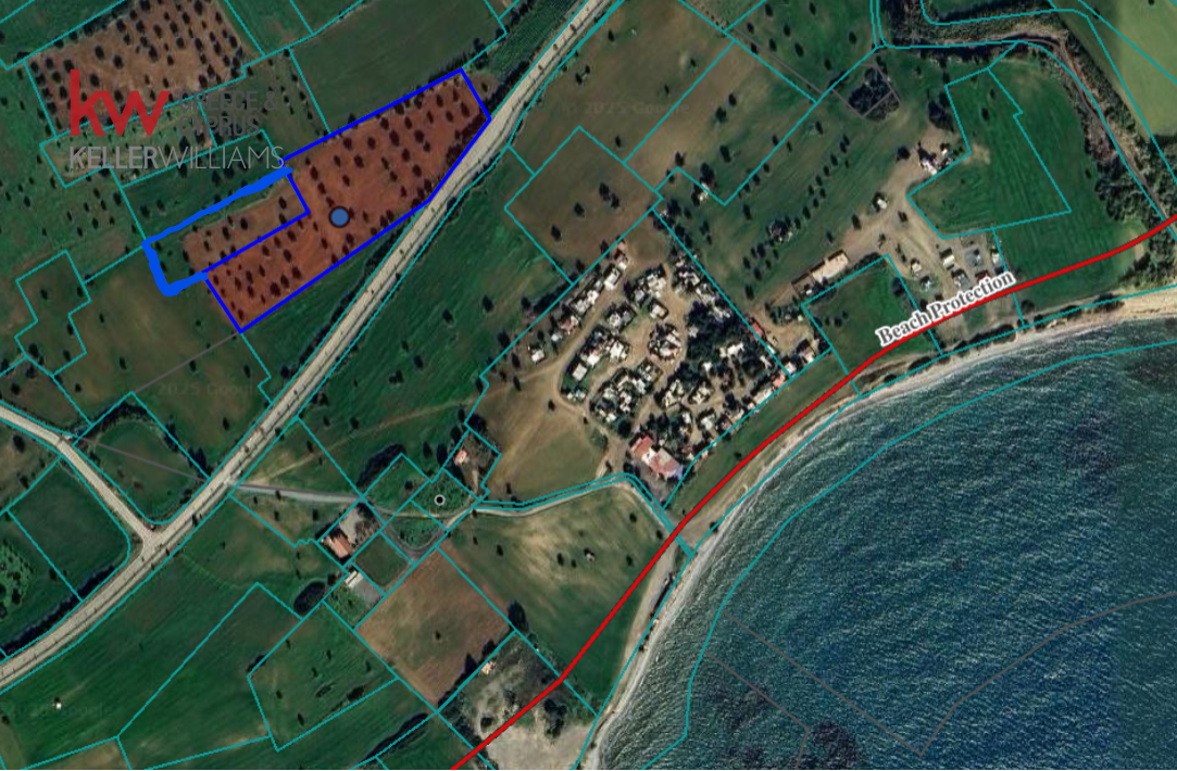 21783m2 Terrain à Mazotos, Larnaka, Chypre No. 40504