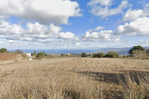 8362m2 Land in Dhrousha, Paphos, Cyprus No. 61437