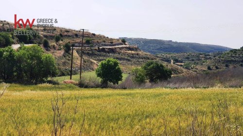 2717m2 Land in Tsada, Paphos, Cyprus No. 61293