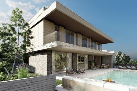 Вилла с 4 спальнями в Тала, Пафос, Кипр № 65605