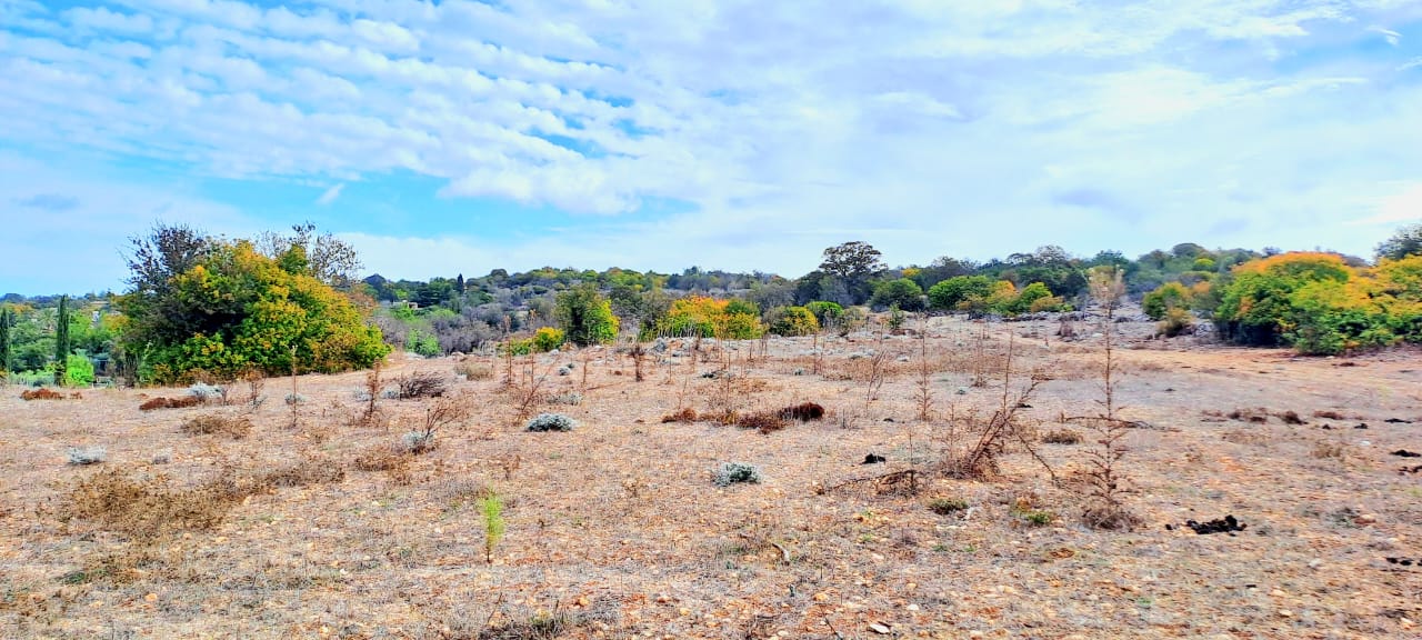 23000m2 Terreno en Meladeia, Paphos, Chipre No. 61323