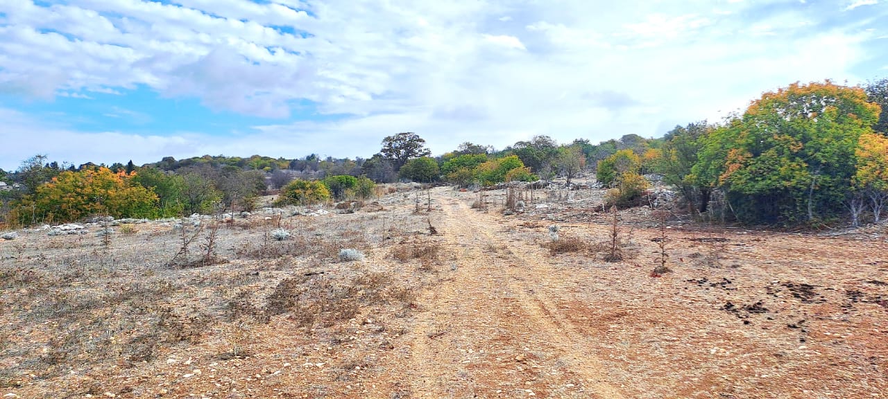 23000m2 Terreno en Meladeia, Paphos, Chipre No. 61323