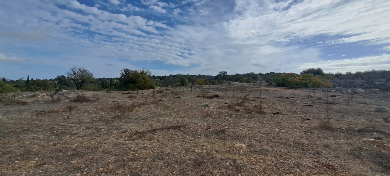 23000m2 Terreno en Meladeia, Paphos, Chipre No. 61323