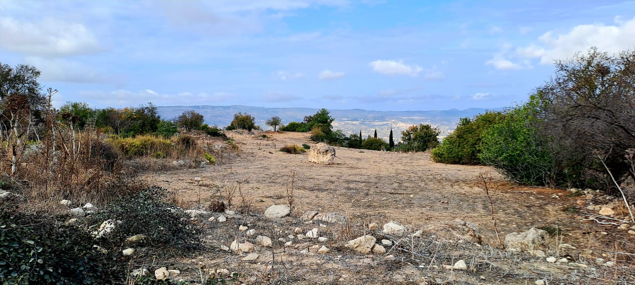 23000m2 Terreno en Meladeia, Paphos, Chipre No. 61323