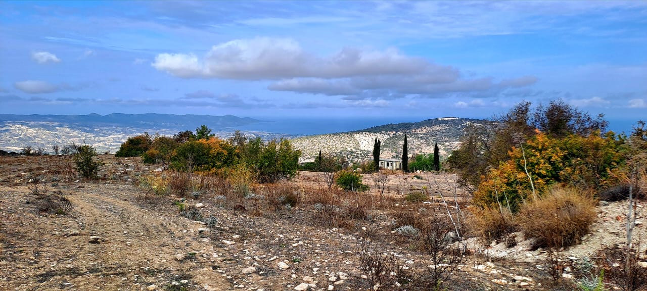 23000m2 Terreno en Meladeia, Paphos, Chipre No. 61323
