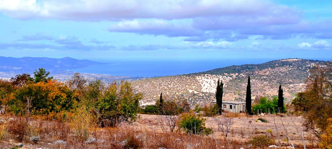 23000m2 Terreno en Meladeia, Paphos, Chipre No. 61323