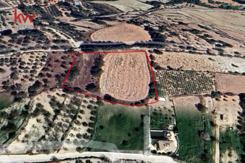 7358m2 Land in Kallepia, Paphos, Cyprus No. 60699