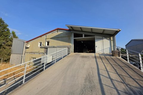 Коммерческая недвижимость 720м2 в Арадипу, Ларнака, Кипр № 61404