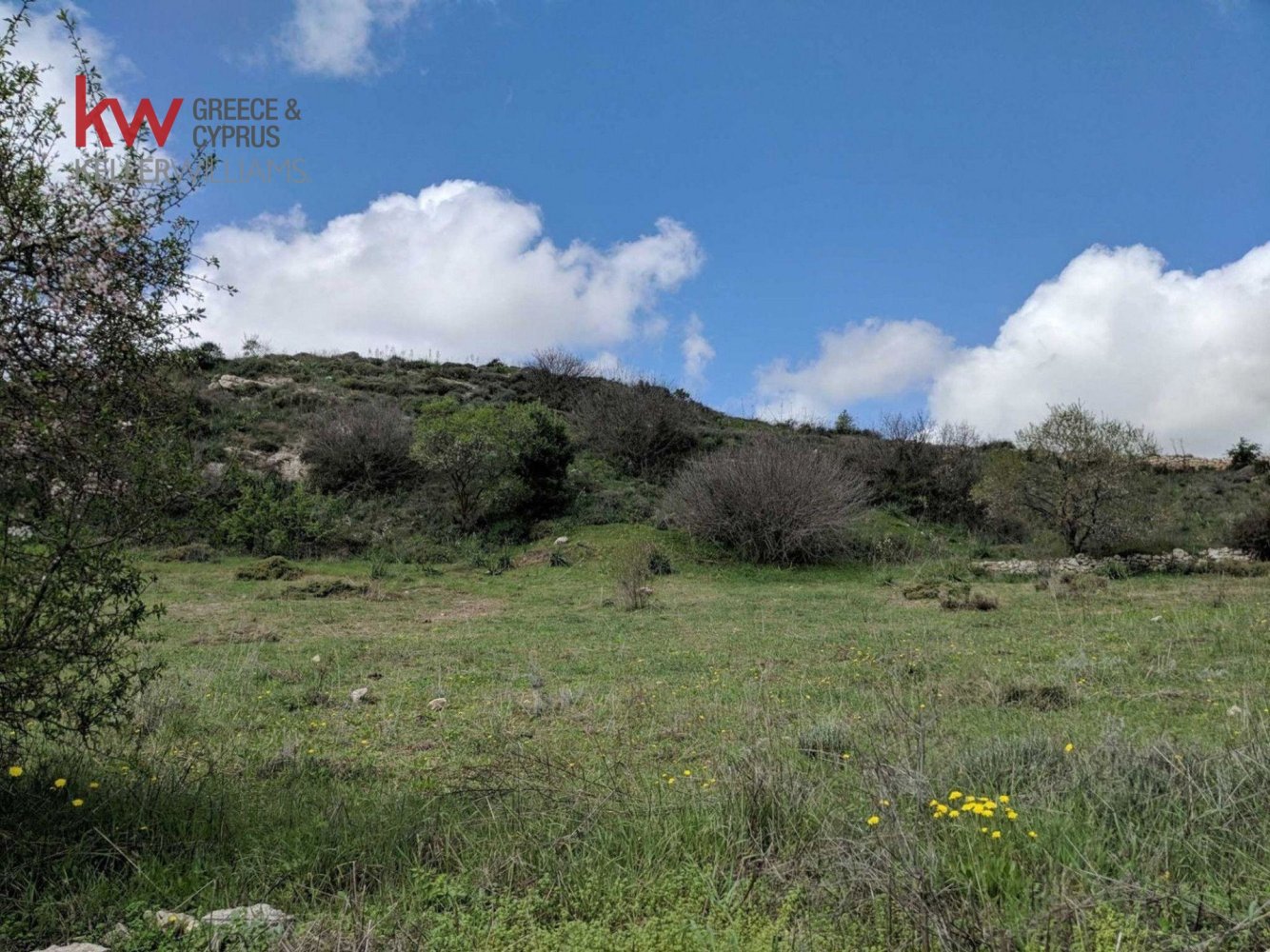 2676m2 Land in Tsada, Paphos, Cyprus No. 61163