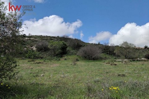 2676m2 Land in Tsada, Paphos, Cyprus No. 61163