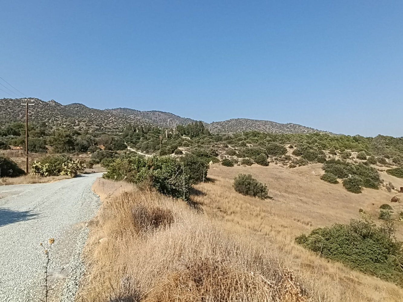 10703m2 Terrain à Foinikaria, Limassol, Chypre No. 61655
