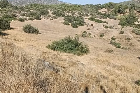 10703m2 Terrain à Foinikaria, Limassol, Chypre No. 61655
