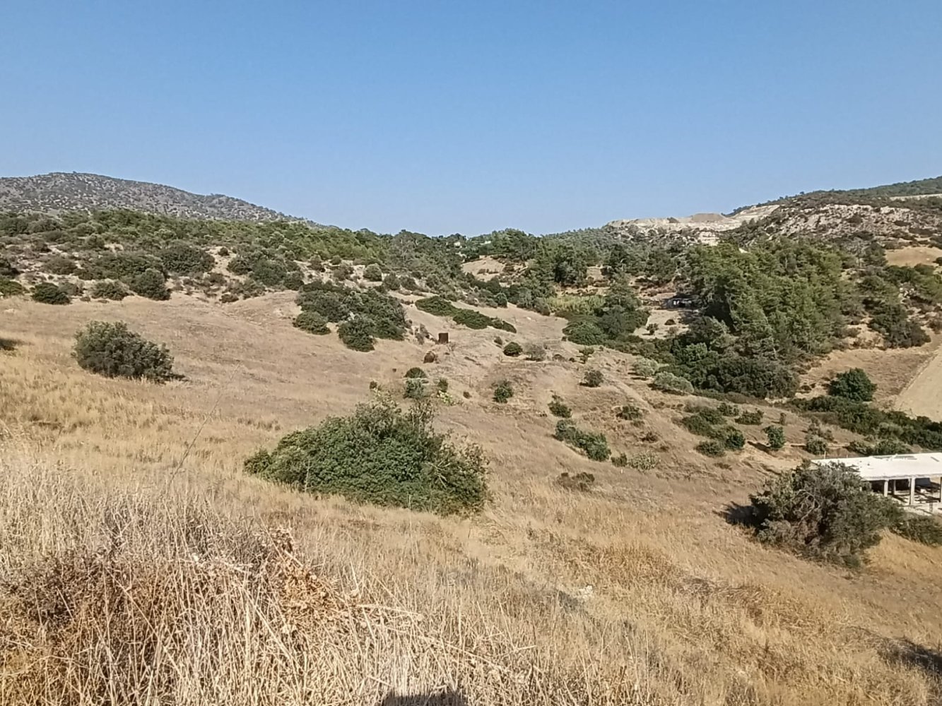 10703m2 Terrain à Foinikaria, Limassol, Chypre No. 61655