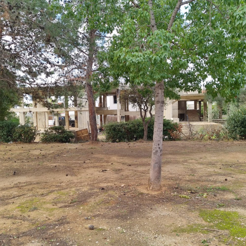 725m2 Land in Paphos, Cyprus No. 61030