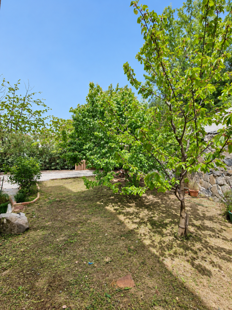 3 bedrooms Villa in Kato Platres, Limassol, Cyprus No. 62136