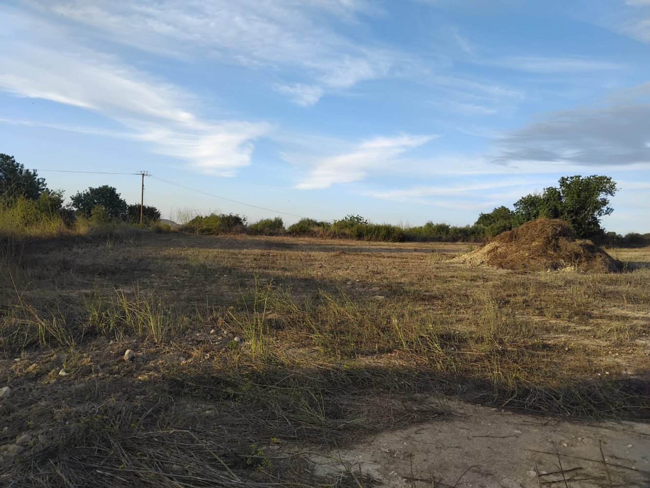 15000m2 Terreno en Koili, Paphos, Chipre No. 62275