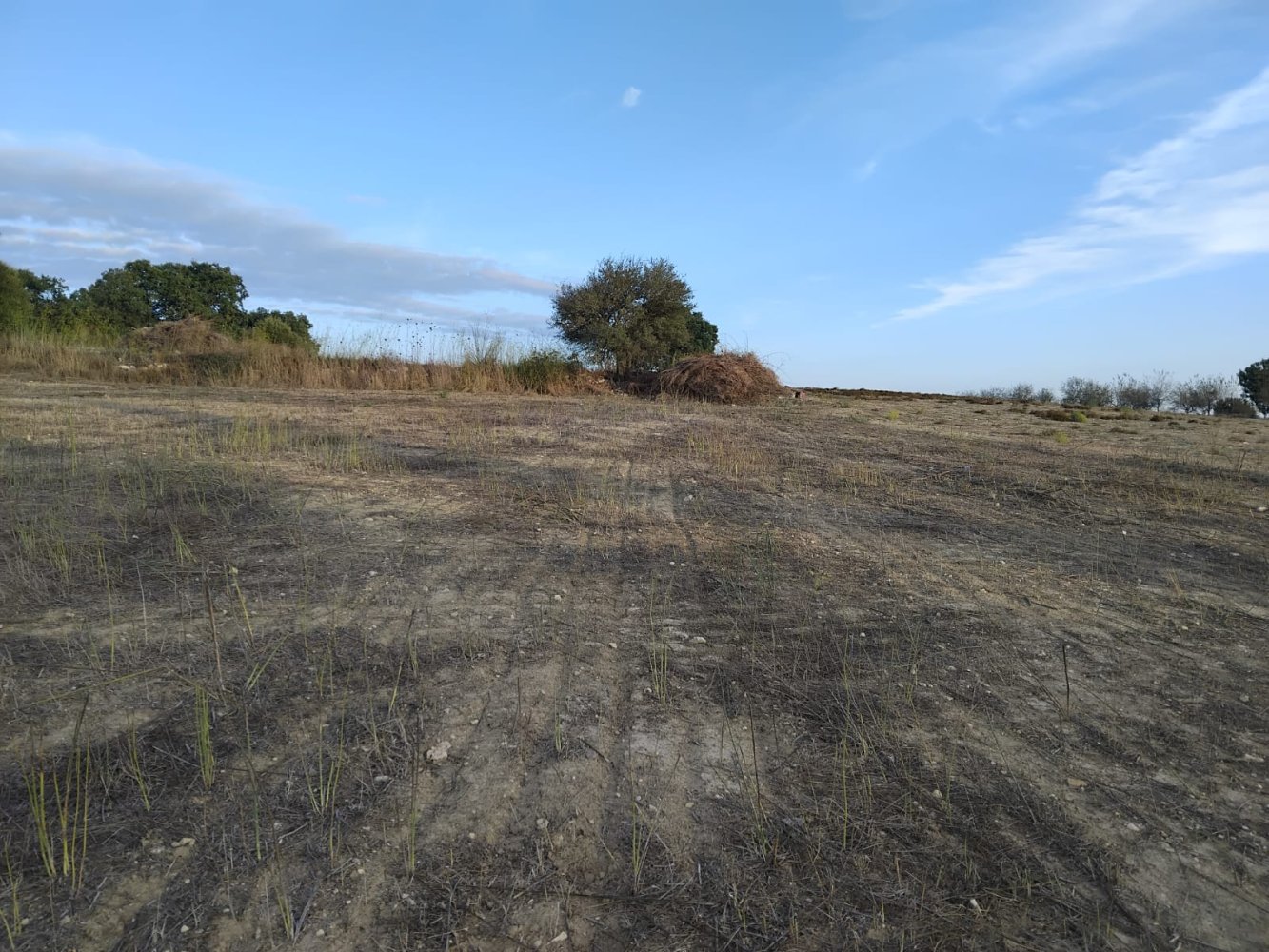 15000m2 Terreno en Koili, Paphos, Chipre No. 62275