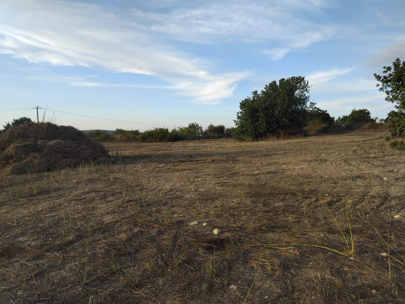 15000m2 Terreno en Koili, Paphos, Chipre No. 62275