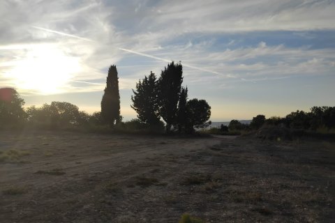 15000m2 Terreno en Koili, Paphos, Chipre No. 62275