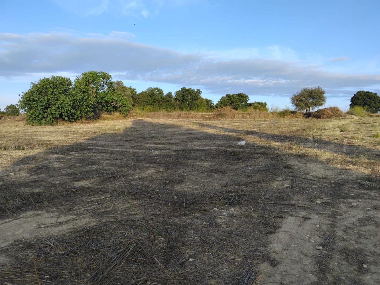 15000m2 Terreno en Koili, Paphos, Chipre No. 62275