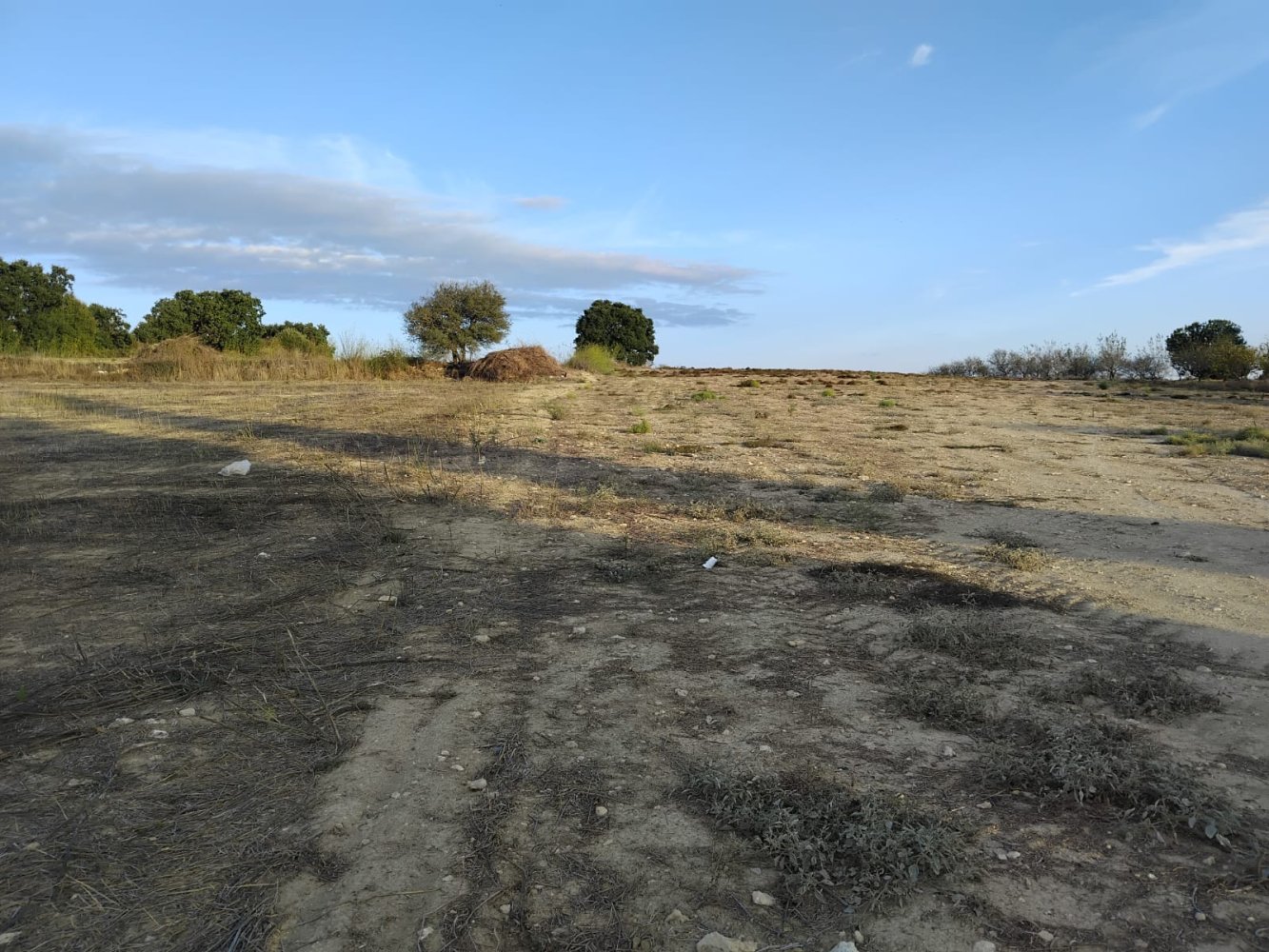 15000m2 Terreno en Koili, Paphos, Chipre No. 62275