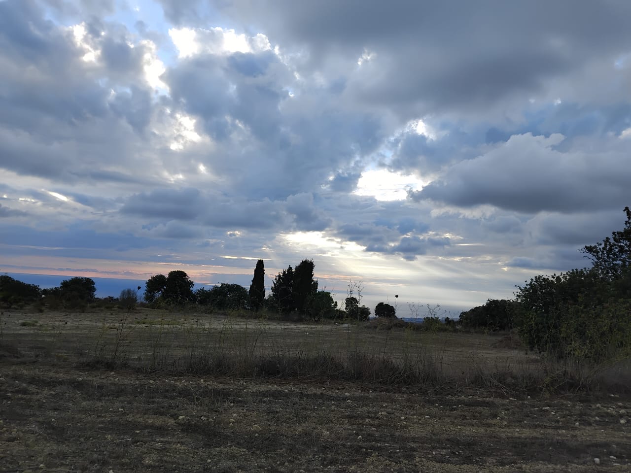 15000m2 Terreno en Koili, Paphos, Chipre No. 62275