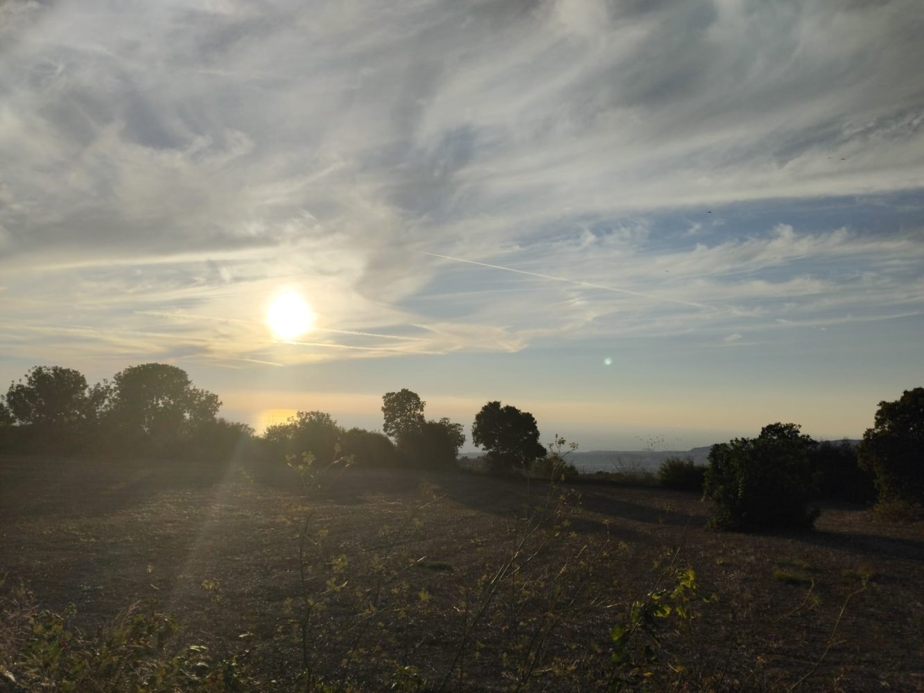 15000m2 Terreno en Koili, Paphos, Chipre No. 62275