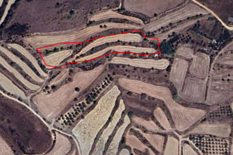 7000m2 Land in Polemi, Paphos, Cyprus No. 61053
