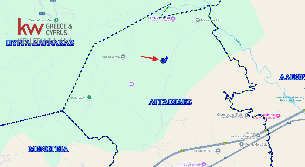 Земельный участок 5352м2 в Англисидес, Ларнака, Кипр № 56729