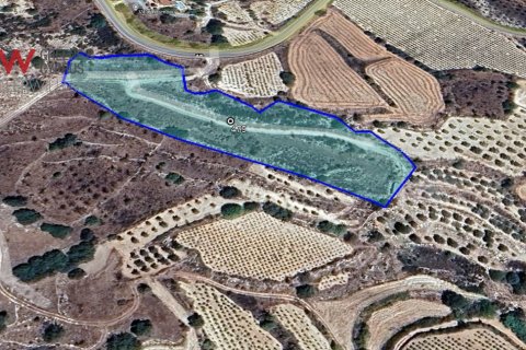 9154m2 Land in Letymvou, Paphos, Cyprus No. 61273