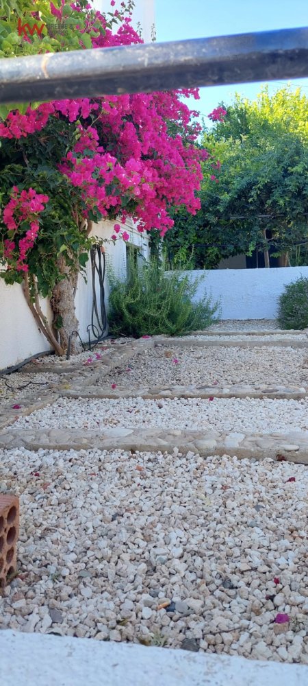 5 dormitorios Villa en Tala, Paphos, Chipre No. 61243