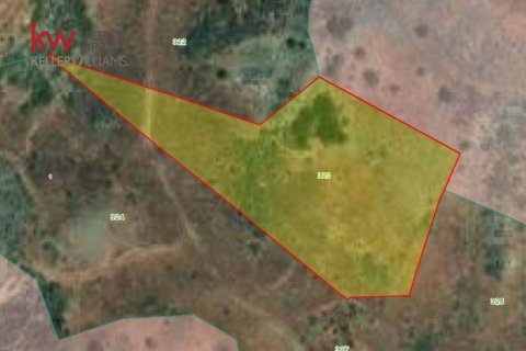 7358m2 Land in Marathounta, Paphos, Cyprus No. 61161
