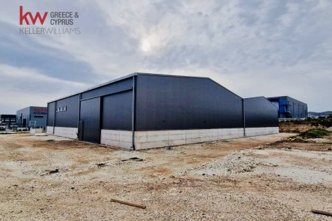 1200m2 Commercial property in Timi, Paphos, Cyprus No. 62188