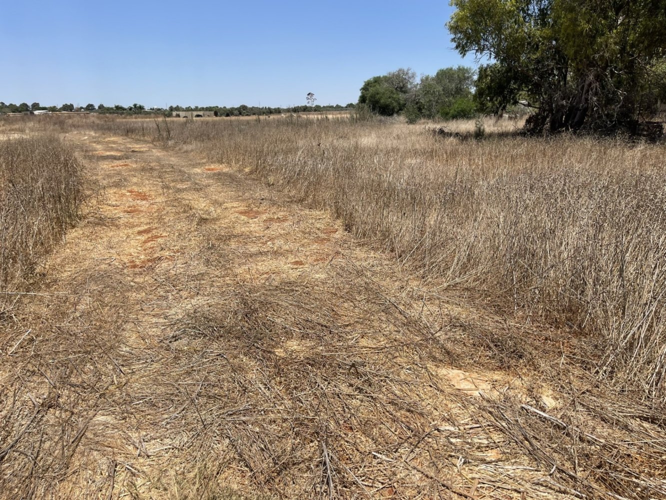 8945m2 Terrain à Liopetri, Ammochostos, Chypre No. 56716